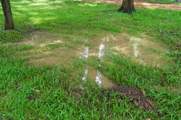 Cost of Storm Water Drainage Service in Camas