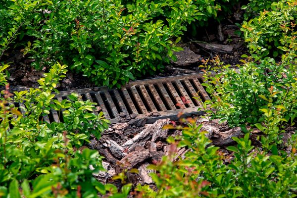 Cost of Underground Drainage Service in Camas