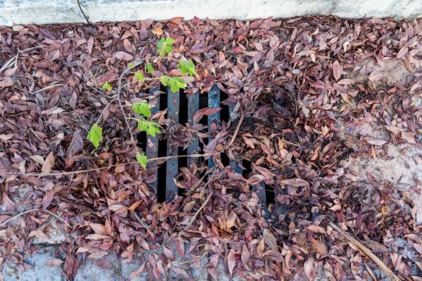 Cost of Yard Drain Unclogging in Camas