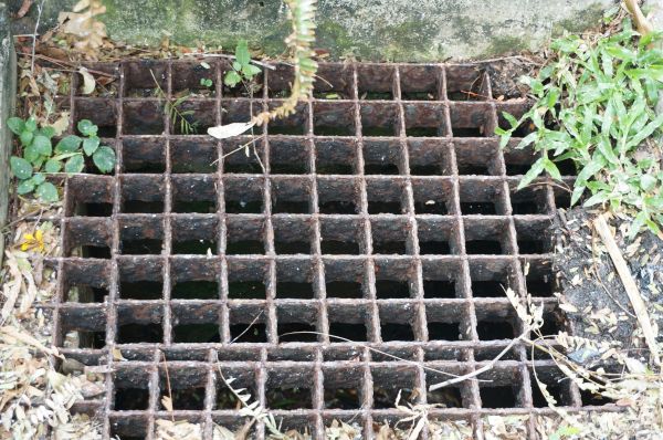 Cost of Yard Drain Cleaning in Camas