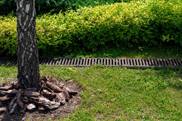 Cost of Wet Yard Drainage in Camas