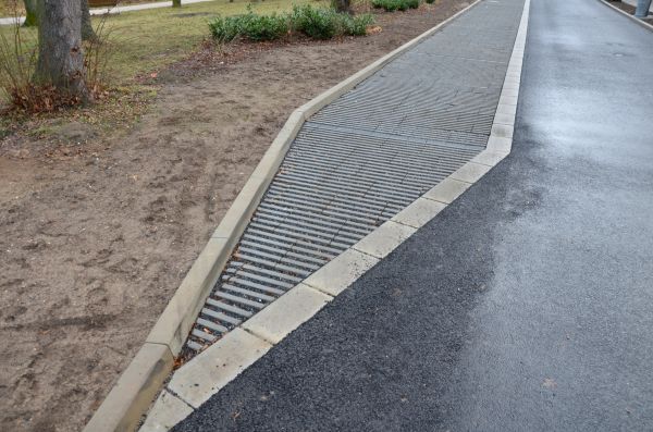 Cost of Muddy Yard Drainage in Camas