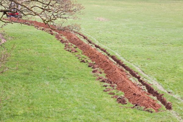 Cost of Swale Installation in Camas
