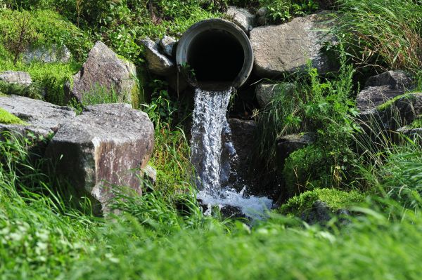 Cost of Water Redirection in Camas
