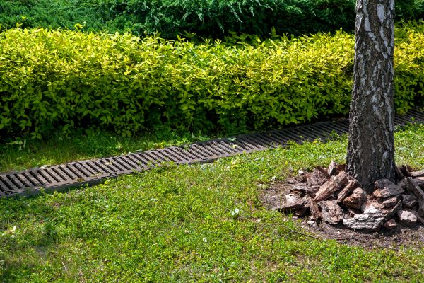 Cost of Residential Landscape Drainage in Camas