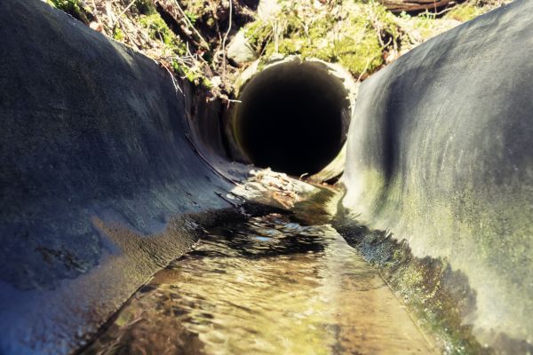 Cost of Drainage Swale Installation in Camas