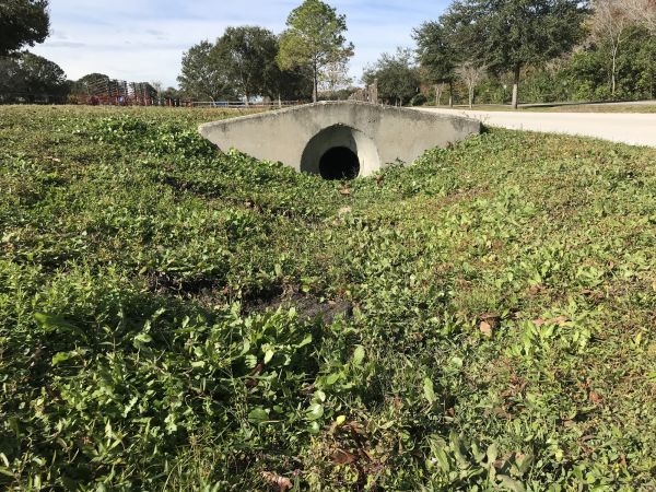Cost of Swale Drainage Service in Camas